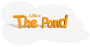 Life at the Pond